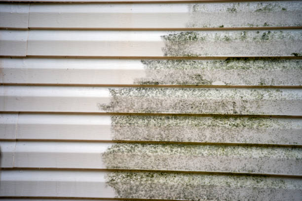 Best Furniture Removal  in Farmers Branch, TX